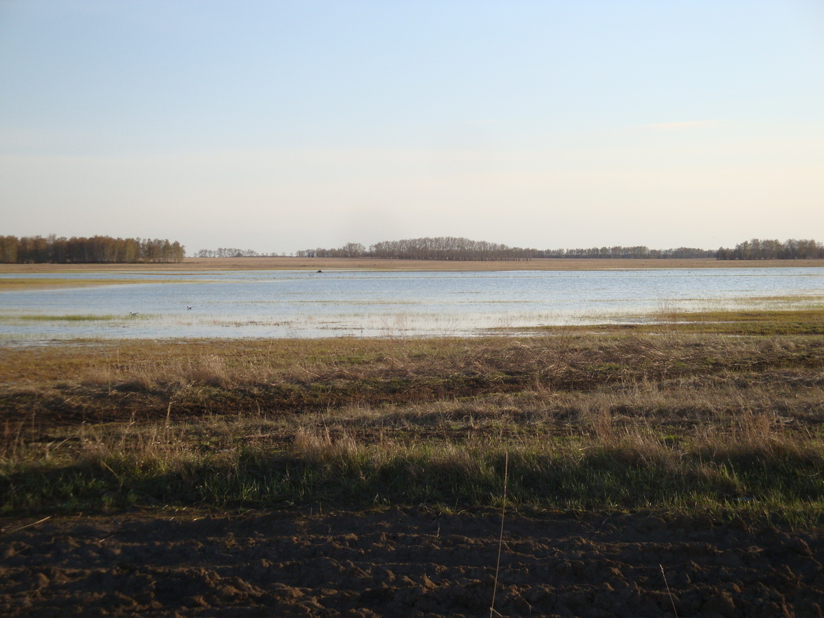 Только вода и грязь / Only water and mud around