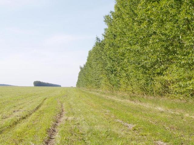 View from CP to the North.