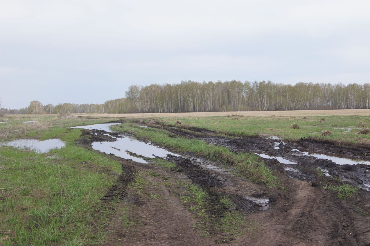 Весенние дороги / Spring roads