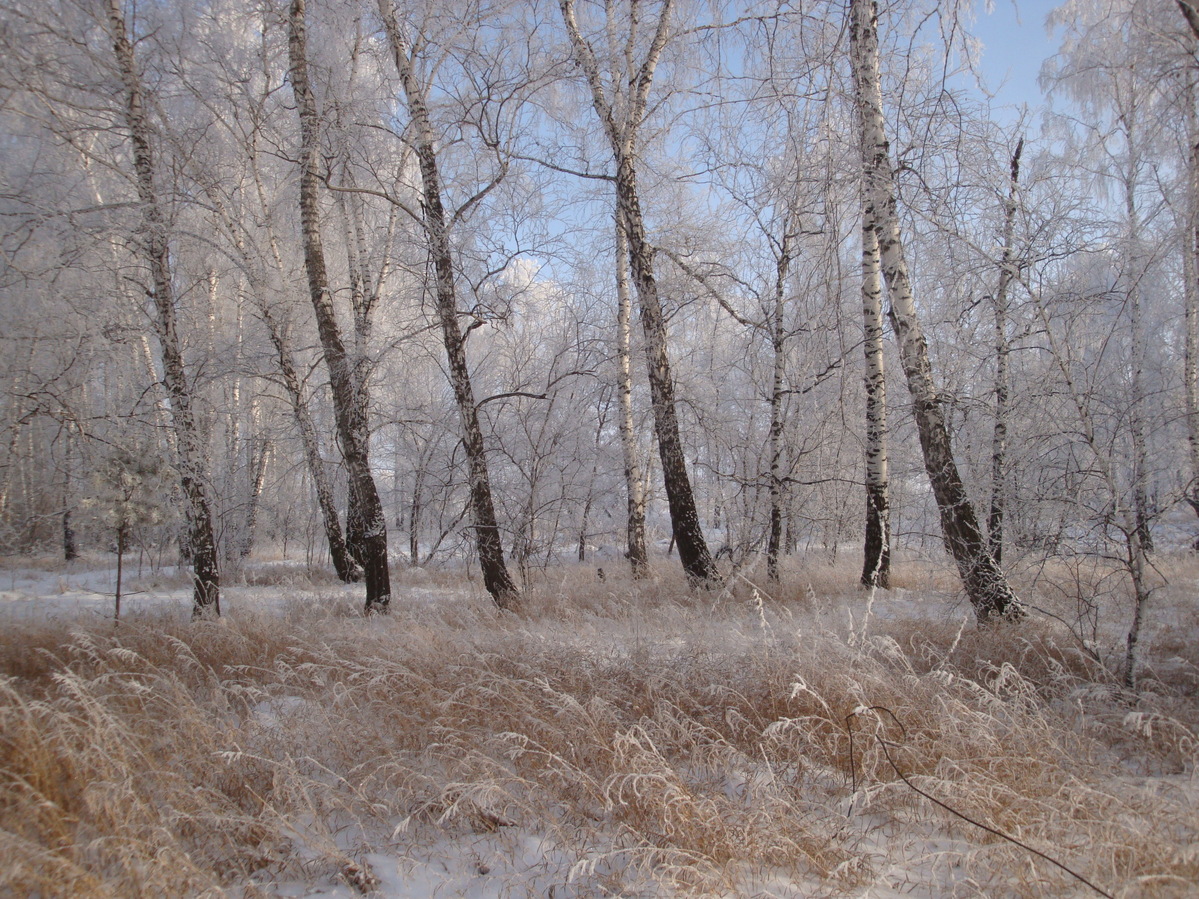 восток / East