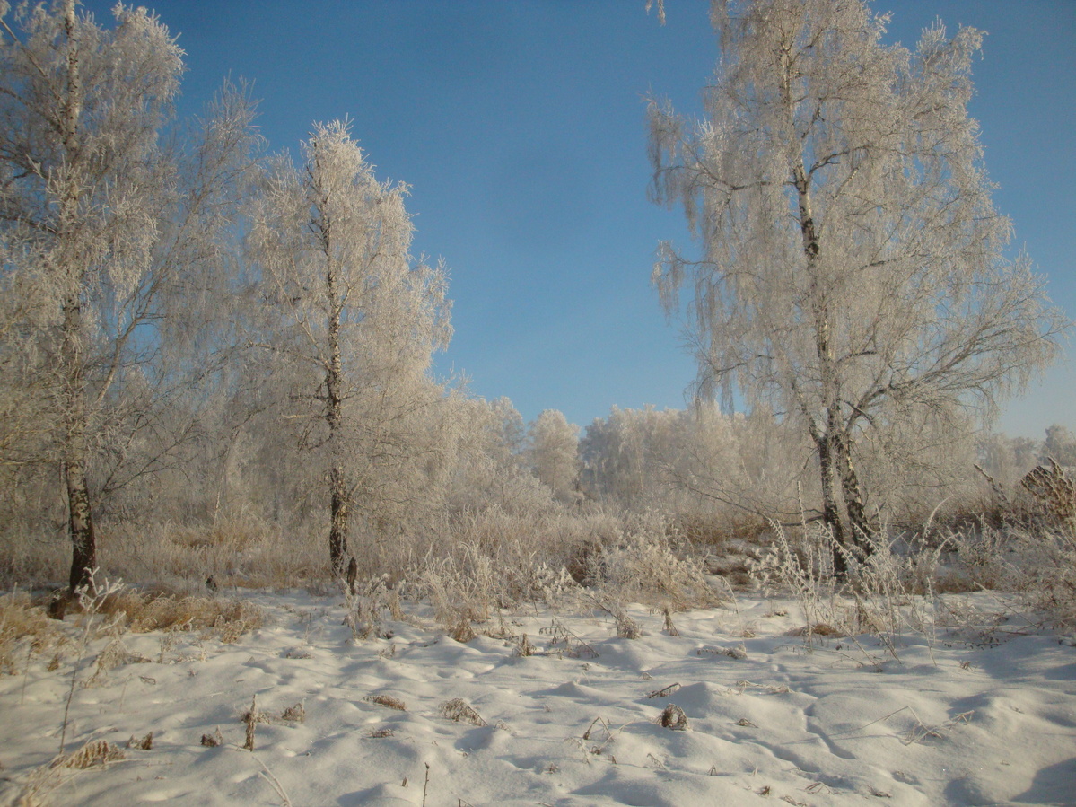 зимняя сказка / Winter fairy tale