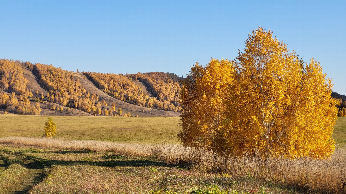 Золотая осень / Golden autumn