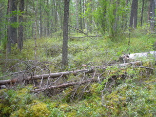 #1: General view of the confluence