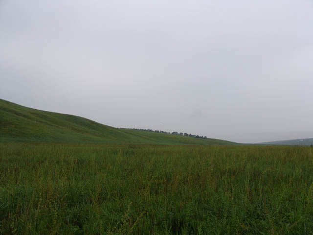 Sicht nach Süd - View to South