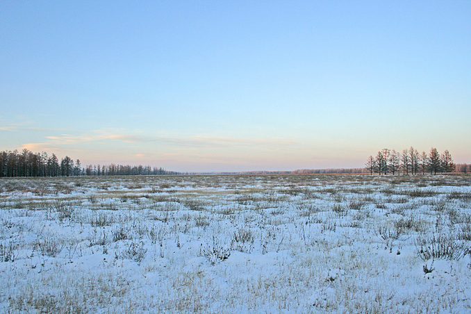 North view/Вид на север