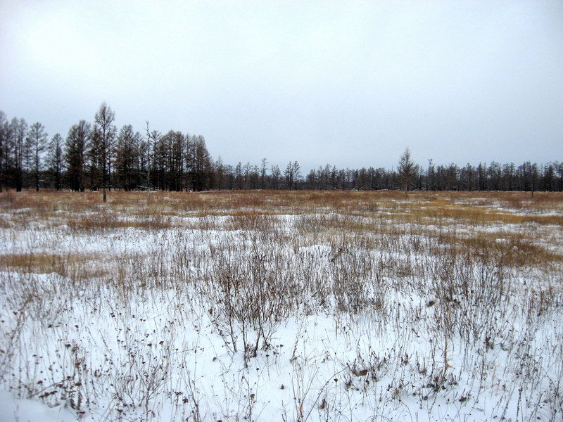 Общий вид/General view