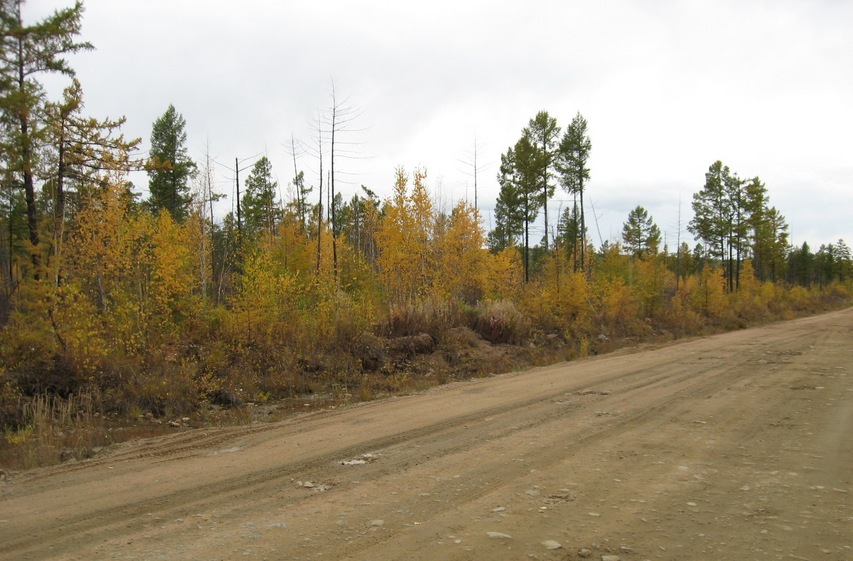 Вид в сторону точки/Towards the confluence