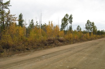 #1: Вид в сторону точки/Towards the confluence