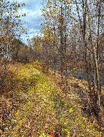 #7: The road along Uldygycha river