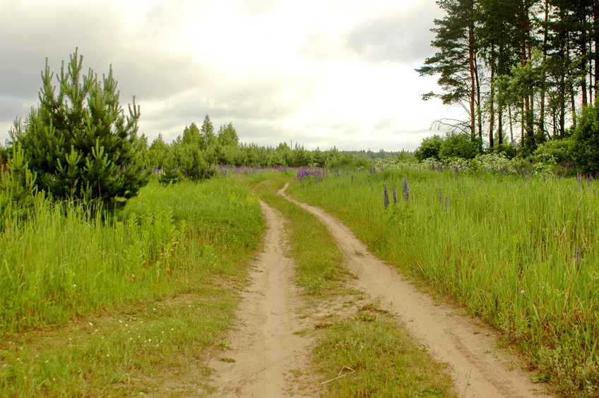 Dirt road