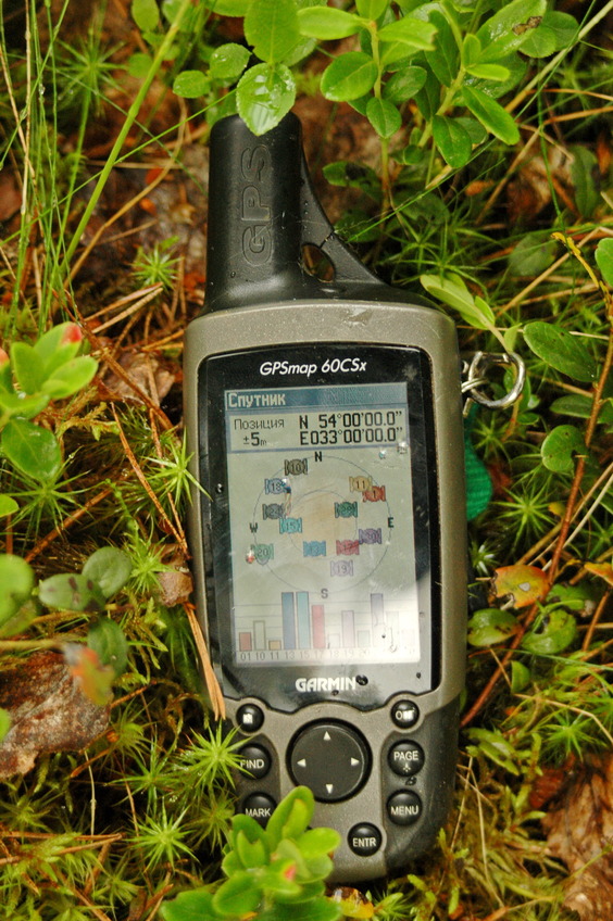 GPS reading