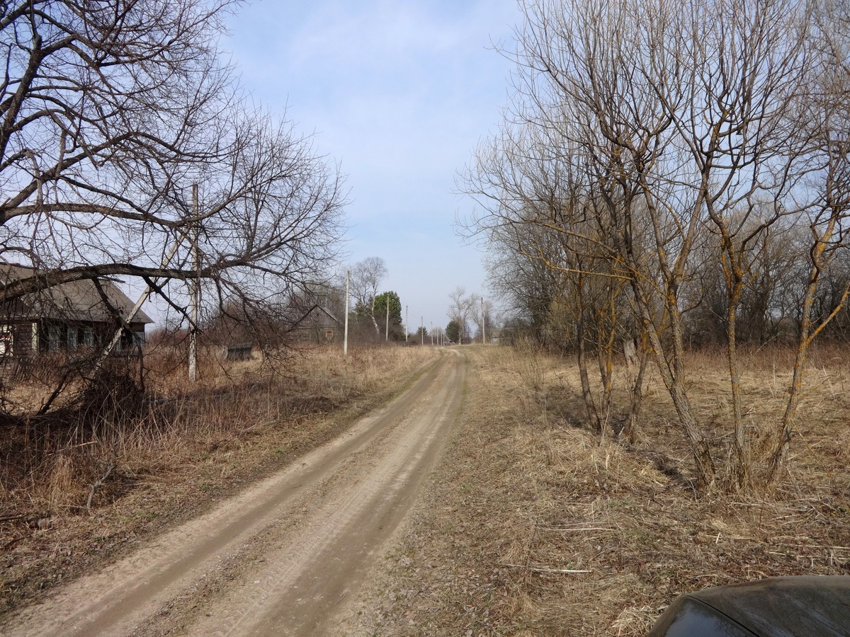 Road in the village