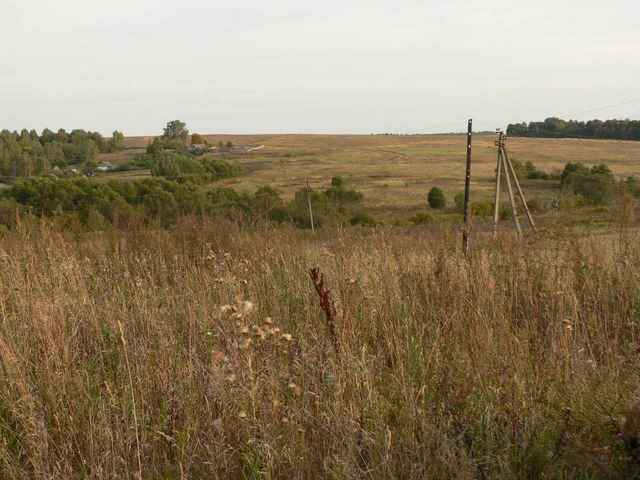 View toward the CP from Radugovishche/Вид от Радуговище: вот за тот горизонт мы поедем