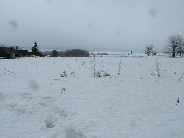 вид на юг / a view to the south