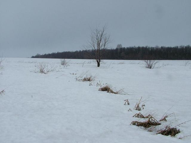 вид на запад / a view to the west