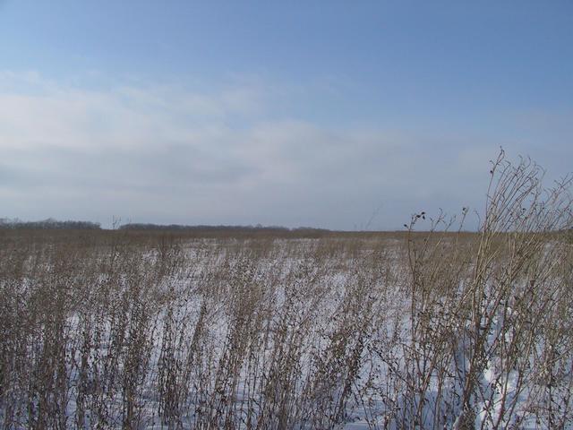 Looking North from Confluence point