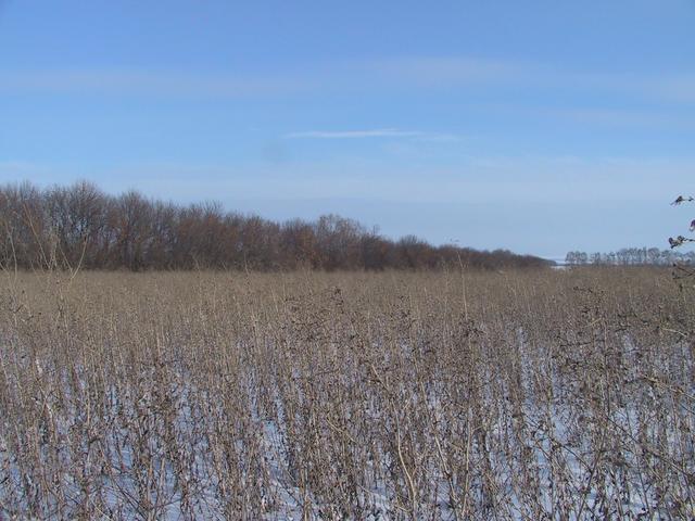 Looking South from Confluence point