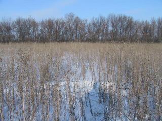 #1: Confluence Point N58 E48 Looking from West