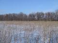 #3: Looking East from Confluence point