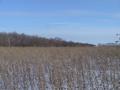 #5: Looking South from Confluence point