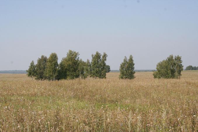 View around the confluence