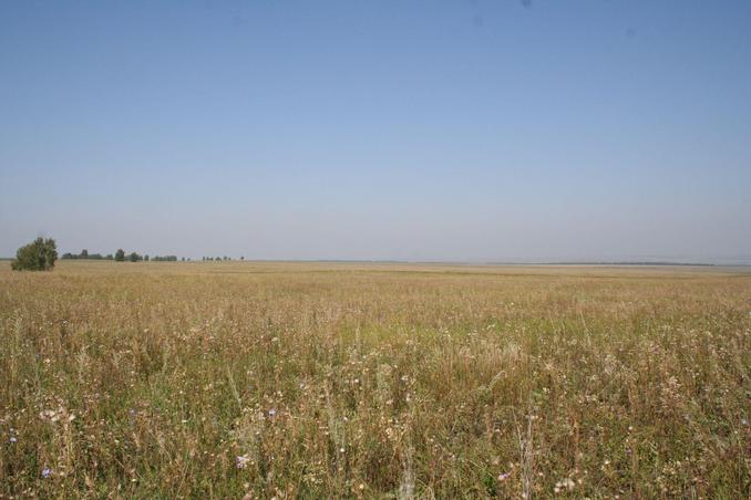 View around the confluence