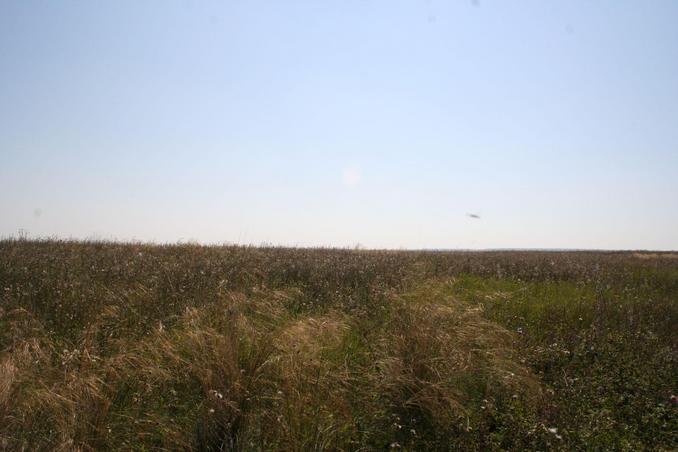 View around the confluence