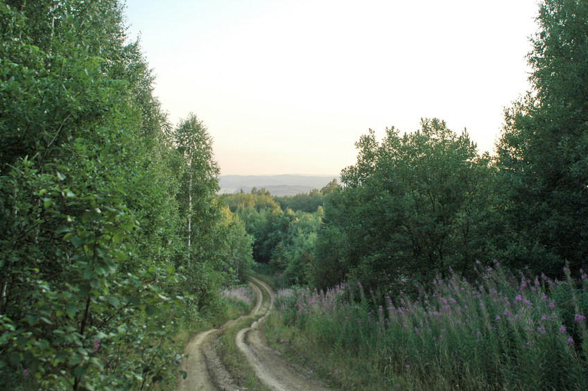 Evening road on my back way/Вечер. Дорога назад