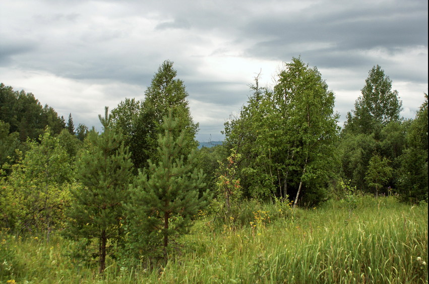 View from the confluence zone to remote ridge/Вид на дальний хребет