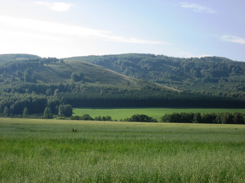 The confluence is on Tashtuzyak slope beyond the river