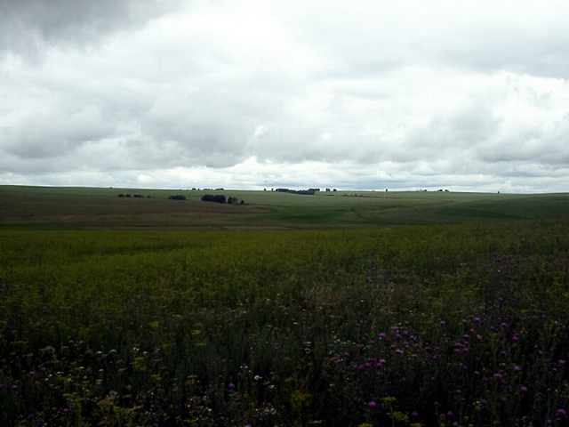 North view (Вид на Север)