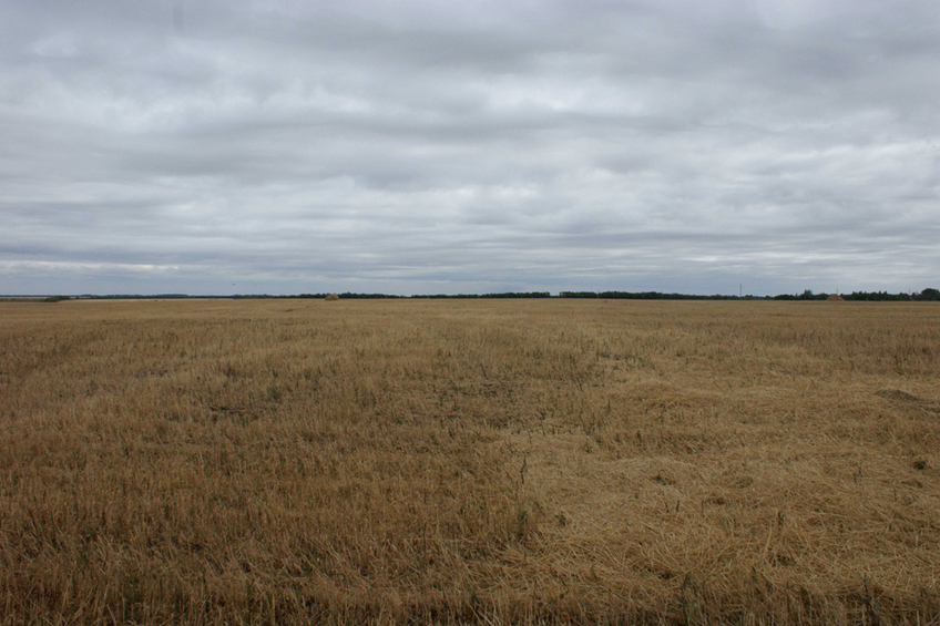 Вид на восток/East view