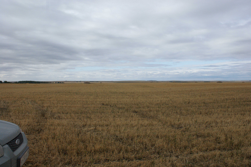 Вид на запад/West view