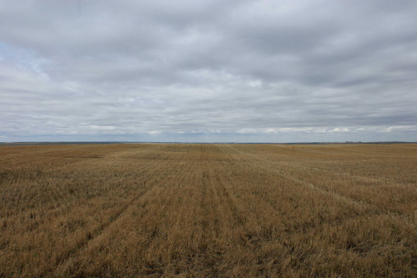 Вид на север/North view