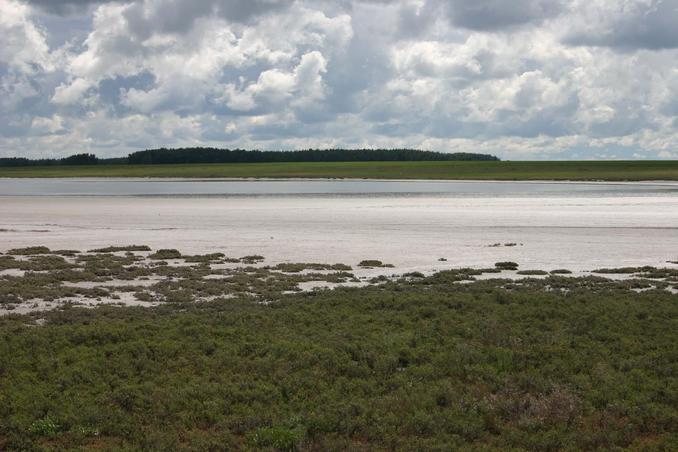 Соленое озеро по дороге к точке -- Saline lake on the road to the point