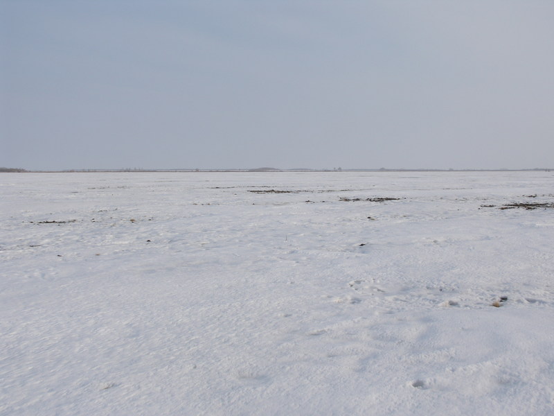 На Север/Facing North