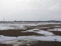 #7: Вид с пересечения на село Троицкое/View from the confluence towards Troitskoye 