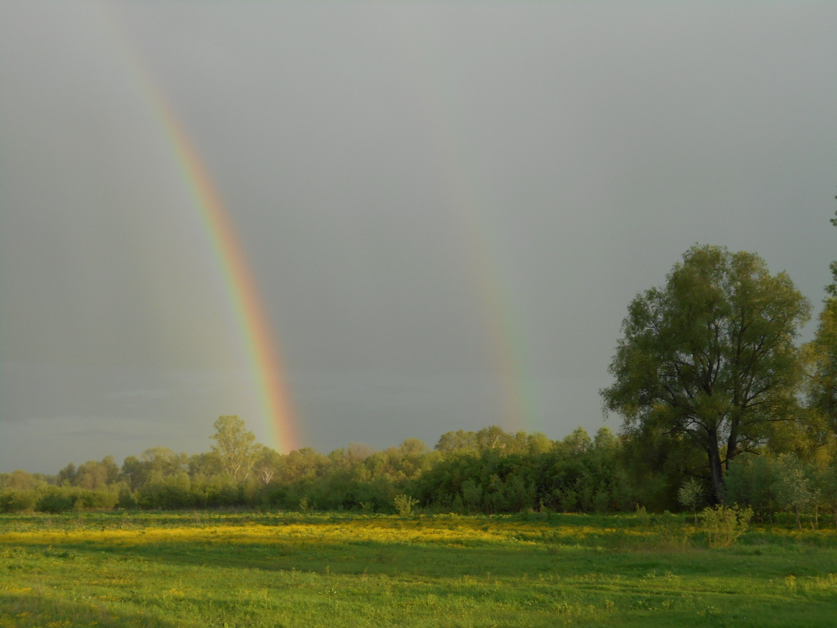 Радуга / Rainbow