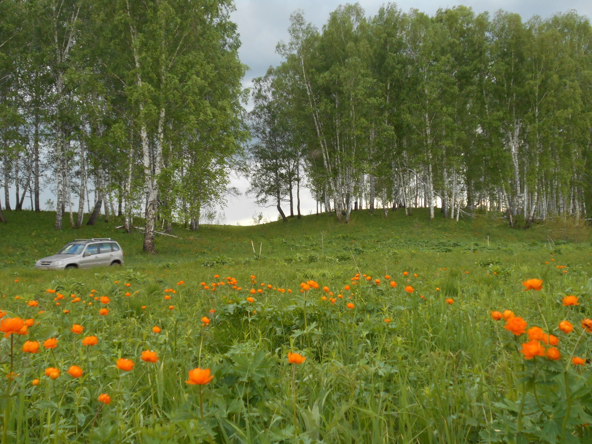 Парковка / Parking