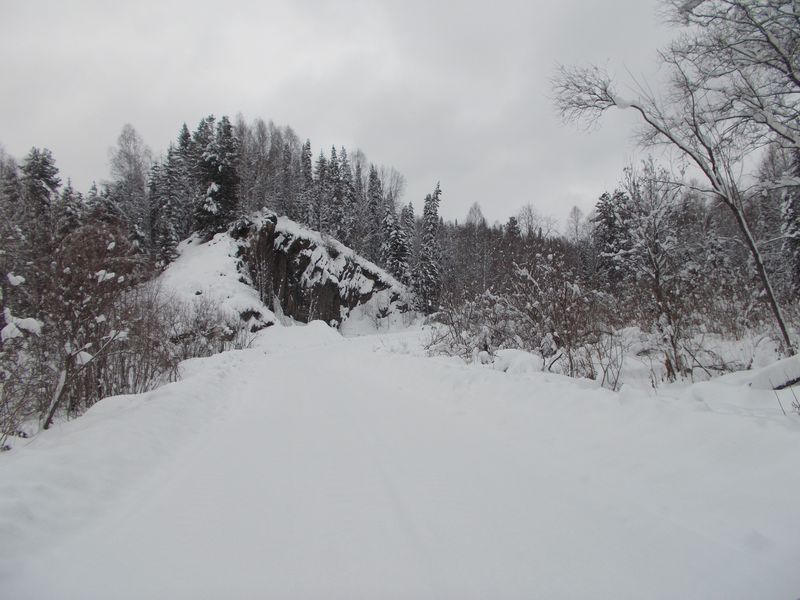 Технологическая дорога (лесовозная)/timber-carrying road