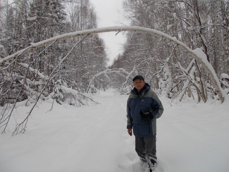 Просека/Logging path