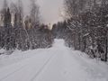 #9: Место близкого расстояния от дороги до точки/The nearest spot on the road