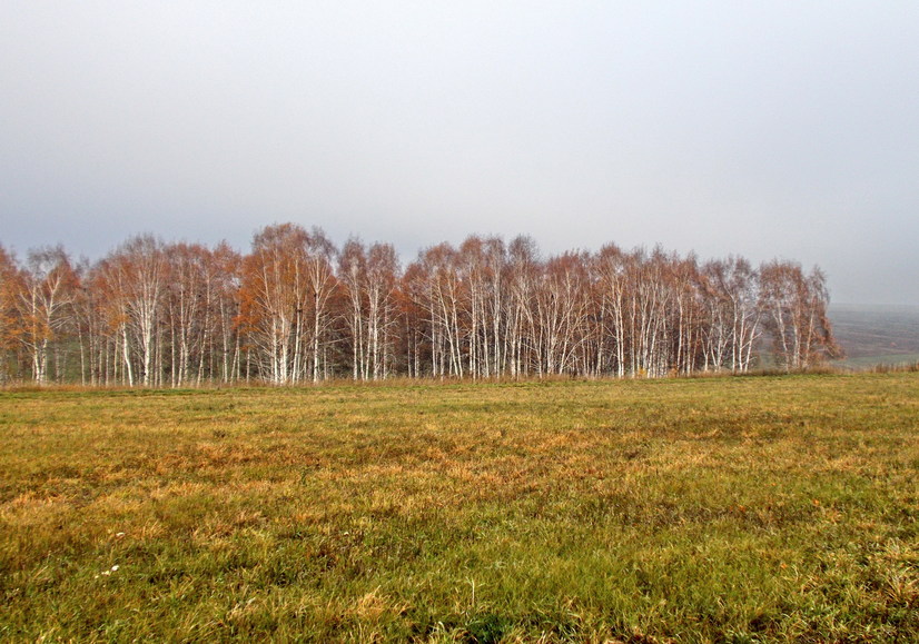 На Север/To the North