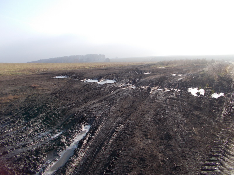 Полевая дорога на деревню Ясная Поляна/Dirt field road towards Yasnaya Polyana village