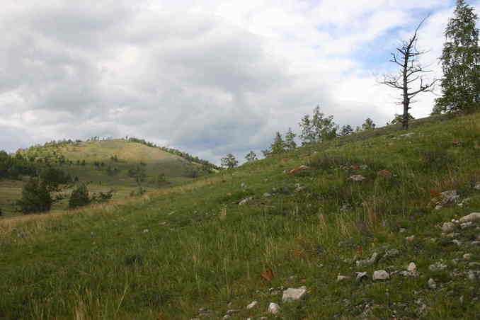 На север/View North