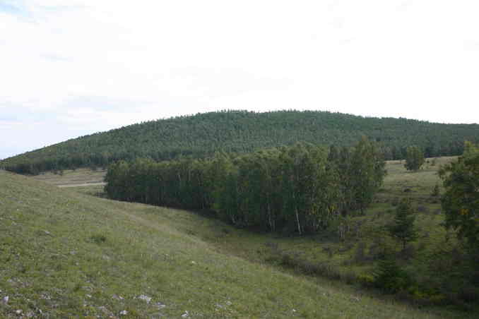 На юг/View South