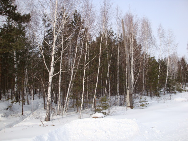 Вид в сторону точки/Towards the confluence