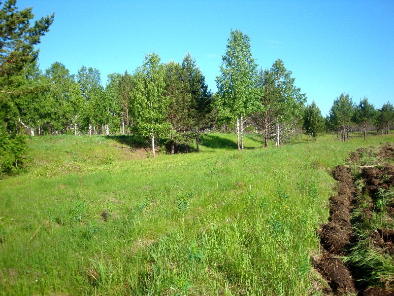 Запад/West view