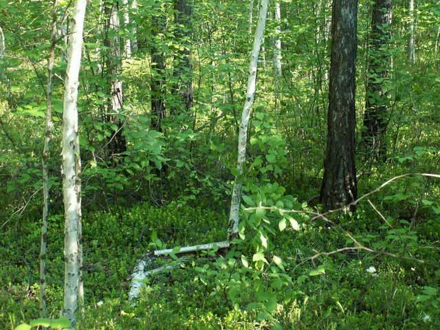 General view on the confluence