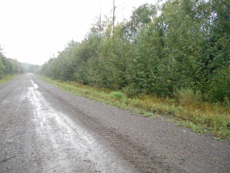 Дорога Зея – Золотая Гора после дождя  / Zeya – Zolotaya Gora road after rain